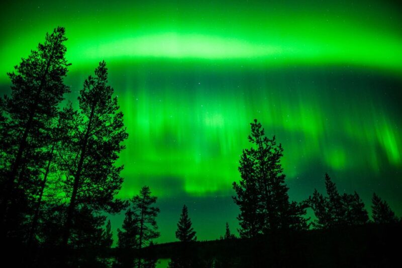 From Rovaniemi: Family-Friendly Northern Lights Tour - The Realistic Expectation
