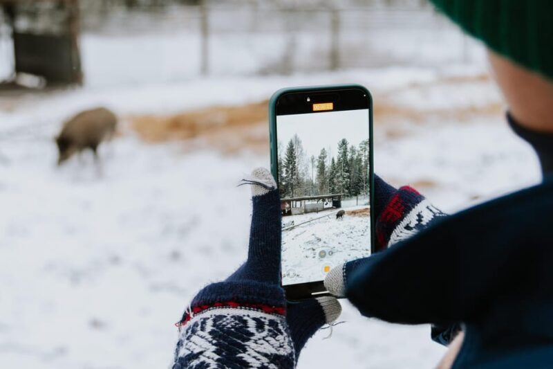 From Rovaniemi: Family Friendly Visit to Ranua Wildlife Park - Final Thoughts: Is It Worth It?