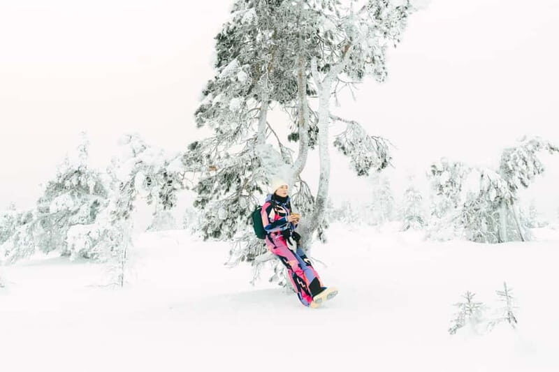 From Rovaniemi: Frozen Wonderland Riisitunturi Winter Hike - Discovering Riisitunturi: Finlands Winter Gem