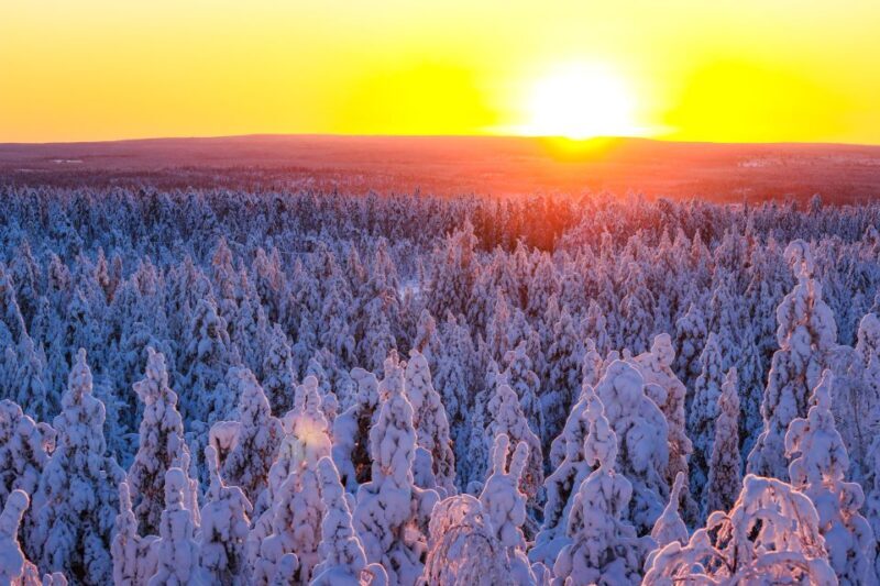 From Rovaniemi: Guided Lapland Snowmobile Adventure - A Practical Guide to Your Snowmobile Journey in Lapland