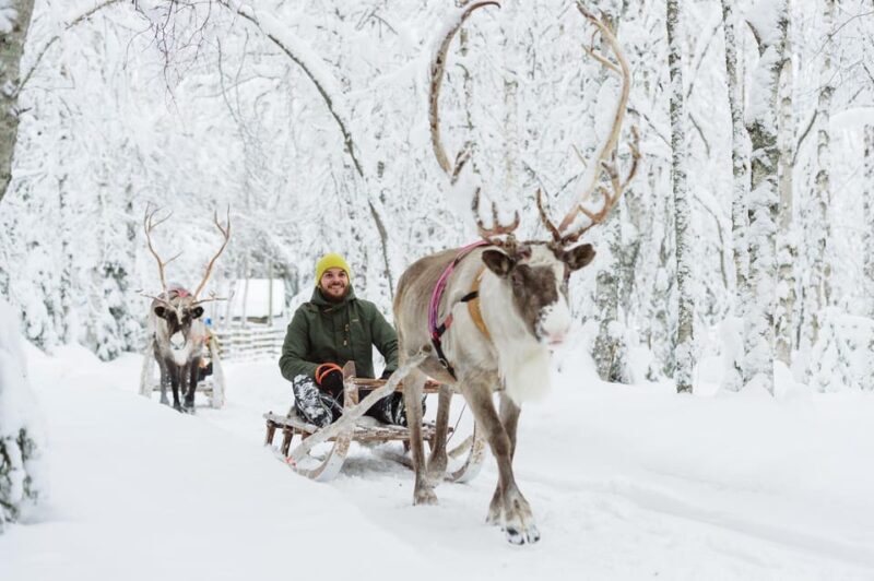 From Rovaniemi: Husky and Reindeer farm with sled ride - Who Should Consider This Tour?