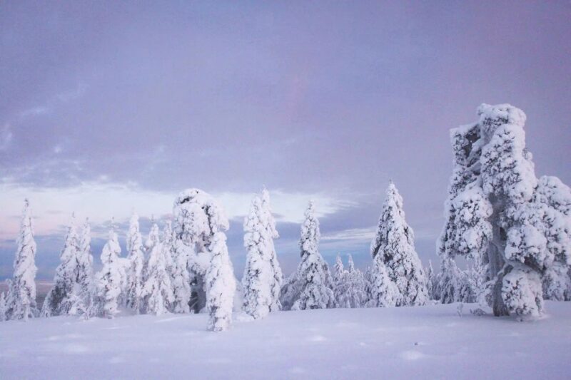 From Rovaniemi: Korouoma Canyon and Frozen Waterfalls Tour - An In-Depth Look at the Korouoma Canyon Tour