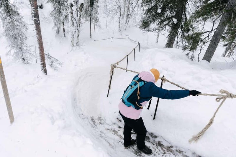 From Rovaniemi: Korouoma Frozen Waterfalls Guided Hike - A Detailed Look at the Korouoma Guided Hike