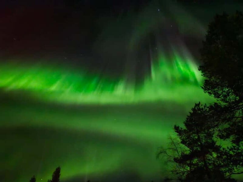 From Rovaniemi: Northern Lights Tour - From Rovaniemi: Northern Lights Tour — A Complete Guide