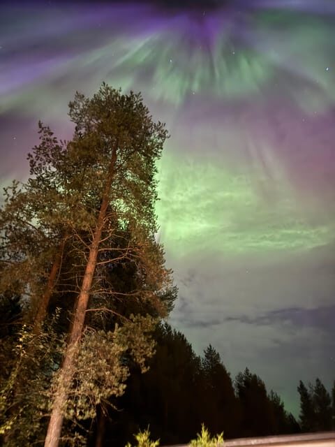 From Rovaniemi: Northern Lights Tour with Campfire Snacks - An In-Depth Look at the Tour Experience