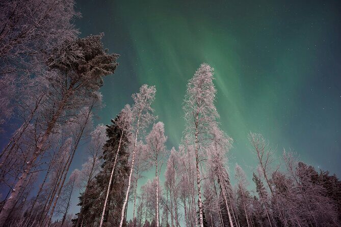 From Rovaniemi: Northern Lights Tour with Campfire Snacks - Engaging Review: From Rovaniemi – Northern Lights Tour with Campfire Snacks