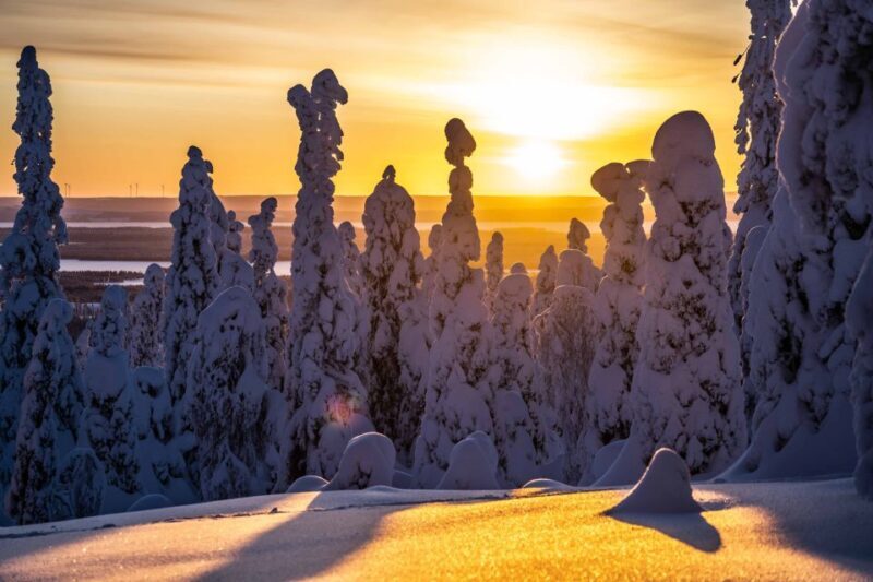 From Rovaniemi: Riisitunturi Full-Day Wilderness Adventure - From Rovaniemi: Riisitunturi Full-Day Wilderness Adventure