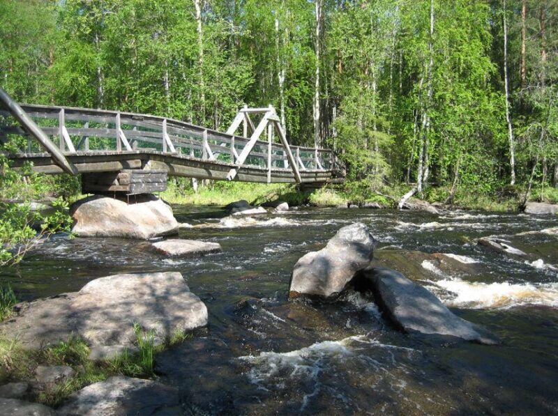 From Rovaniemi: Vikaköngäs Forest Hiking Tour - Key Points