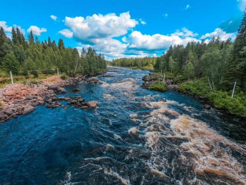 From Rovaniemi: Vikaköngäs Forest Hiking Tour - Discovering Vikaköngäs: An In-Depth Look