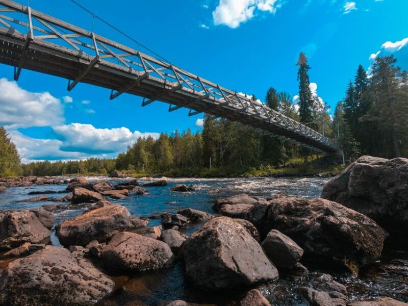 From Rovaniemi: Vikaköngäs Forest Hiking Tour - Final Thoughts