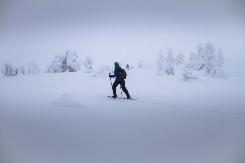 From Rovaniemi: Winter Wonderland Hike with a Hot Drink - An In-Depth Look at the Winter Wonderland Hike