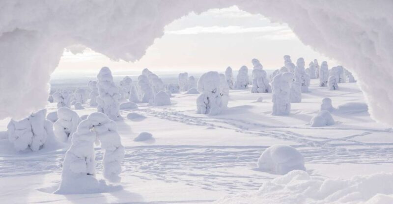 From Rovaniemi: Winter Wonderland Hike with a Hot Drink - Detailed Breakdown of the Experience
