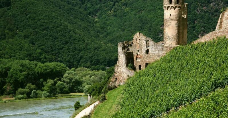From Rüdesheim: 1.5-Hour Boat Cruise with Wine Tasting - A Brief Overview of the Rüdesheim Boat Cruise with Wine Tasting