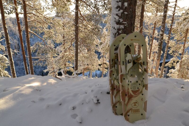 From Ruka: Snowshoeing in Riisitunturi National park - From Ruka: Snowshoeing in Riisitunturi National Park