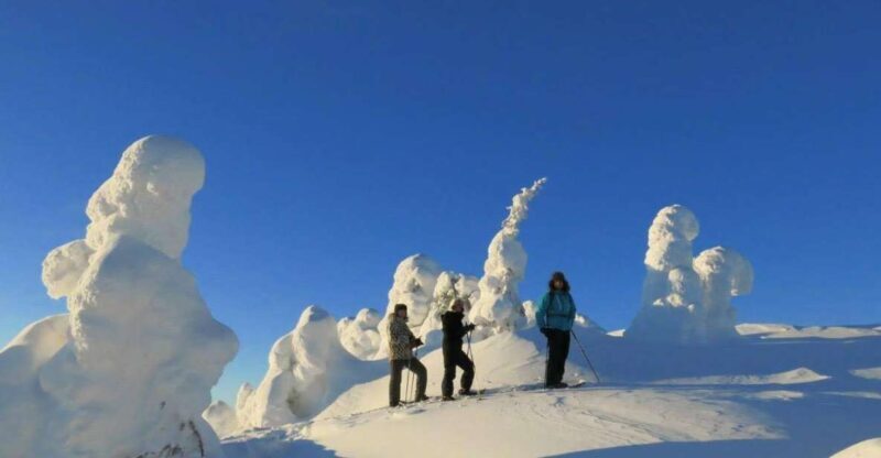 From Ruka: Snowshoeing in Riisitunturi National park - Key Points