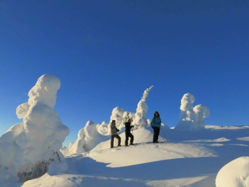 From Ruka: Snowshoeing in Riisitunturi National park - Why This Tour Is Worth Considering