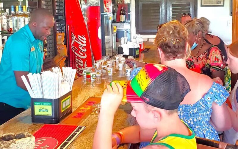 From Runaway Bay: Bob Marley Mausoleum Guided Day Trip - A Detailed Look at the Tour Experience