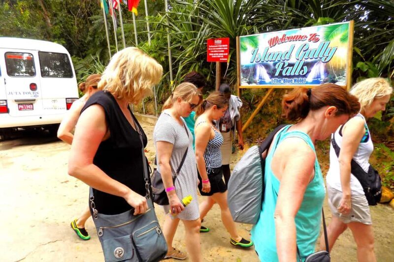 From Runaway Bay: Island Gully Falls and Blue Hole Tour - A Practical Guide to the Island Gully Falls and Blue Hole Tour