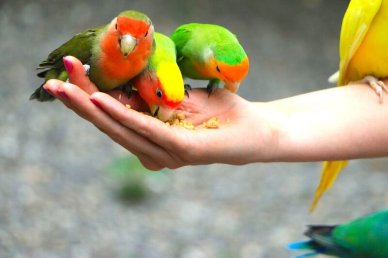 From Runaway Bay: Off Road Vehicle Adventure Tour - From Runaway Bay: Off Road Vehicle Adventure Tour