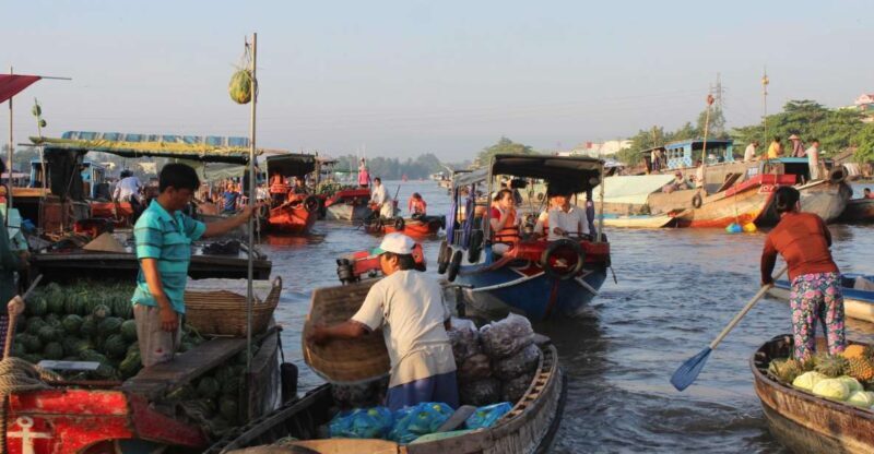 From Saigon: Private Tour to Cai Rang Floating Market 1 Day - Who Should Opt for This Tour?