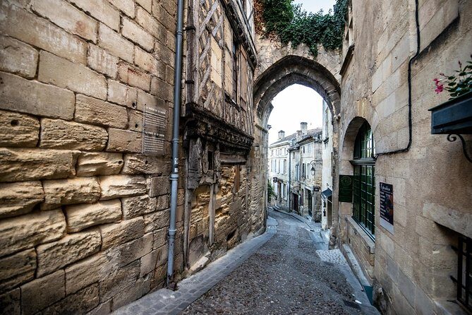 From Saint-Emilion : Electric Bike Day Tour with Wine Tastings and Picnic Lunch - The Practical Aspects: What You Need to Know