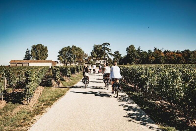 From Saint-Emilion : Half Day Electric Bike Tour - Why This Tour Shines