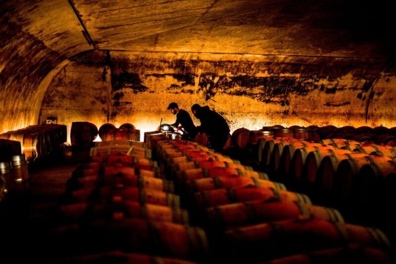 From Saint-Emilion : Half Day Electric Bike Tour - The Value of This Experience