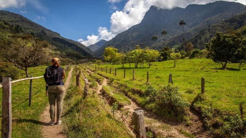 From Salento: Cocora Valley Hiking Tour with Lunch - Key Points