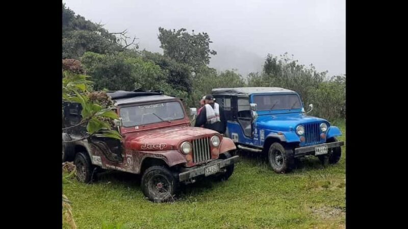 From Salento: Cocora Valley Hiking Tour with Lunch - What We Think About the Value