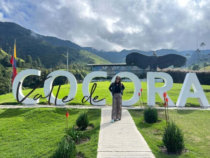From Salento: Cocora Valley Shared Tour - A Deep Dive into the Cocora Valley Shared Tour