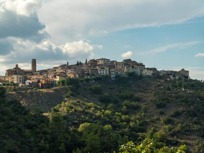 From Salou: 4x4 route from Cornudella to Falset and Gratallops - From Salou: 4x4 route from Cornudella to Falset and Gratallops – The Essential Guide