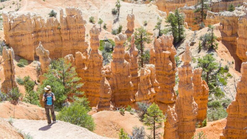 From Salt Lake City: Private Bryce Canyon National Park Tour - Final Thoughts