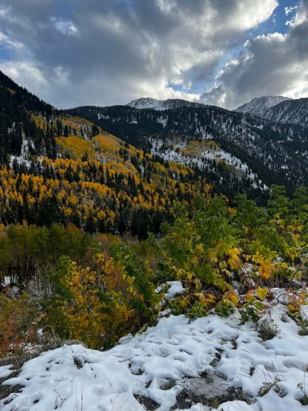From Salt Lake City: Private Wasatch Mountain Range Tour - A Deep Dive into the Utah Mountain Experience