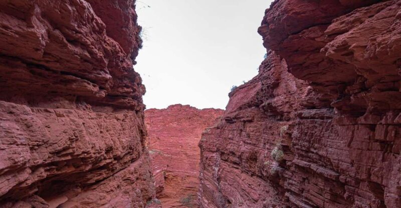 From Salta: 2 Day Guided Trip to Cafayate & Salinas Grandes - Who Should Consider This Tour?