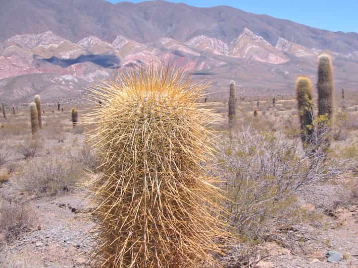 From Salta: 3-Day Cafayate, Cachi, and Humahuaca Guided Trip - Final Thoughts: Is It Worth It?