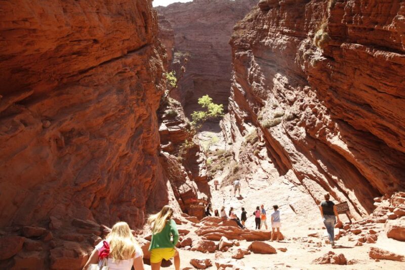 From Salta: Cafayate and Hornocal 2-Day Tour with Transfer - FAQ