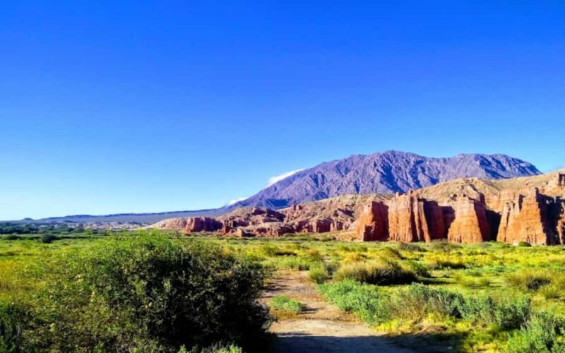 From Salta: Cafayate, Cachi and Humahuaca in 3 full days - What Makes This Tour Stand Out