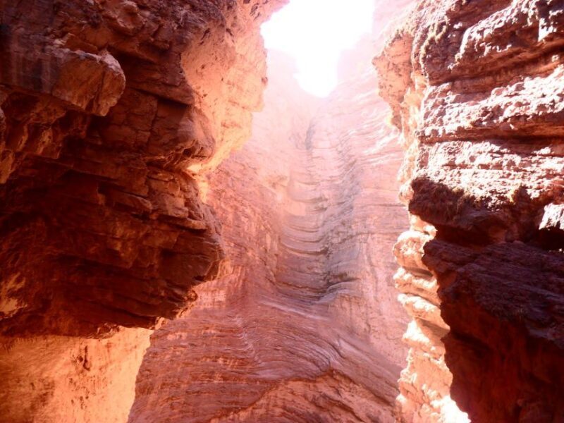 From Salta: Cafayate, Humahuaca & Salinas Grandes 3-Day Tour - Who Should Consider This Tour?