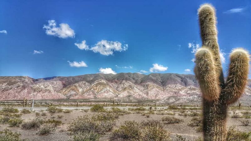 From Salta: Day Trip to Cachi and the Calchaquí Valleys - What the Reviews Say