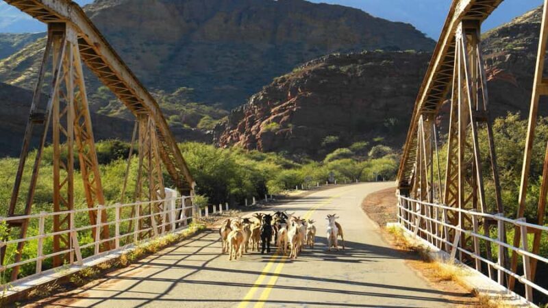 From Salta: Day Trip to Cafayate - FAQ