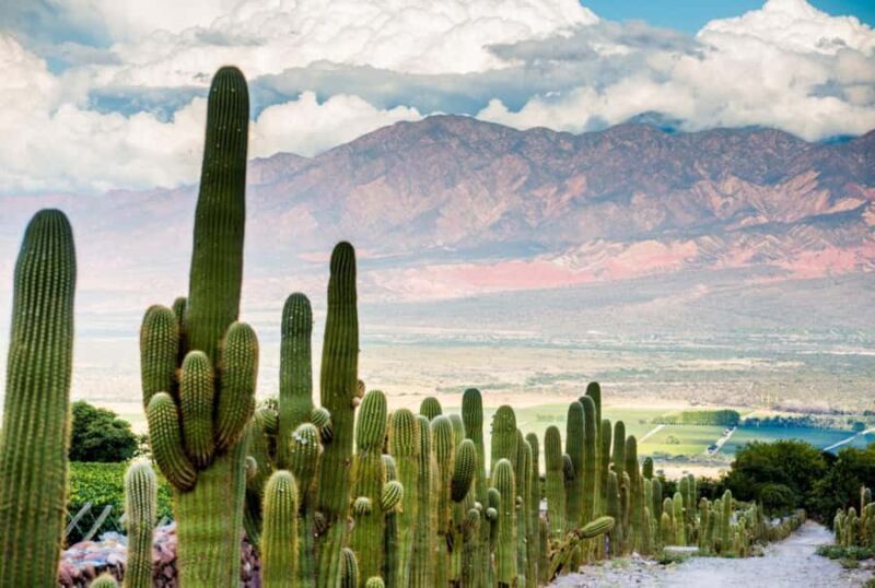 From Salta: Day Trip to Cafayate - Final Thoughts