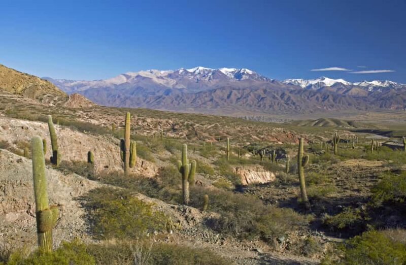 From Salta: Full-Day Scenic Tour to Cachi - Key Points