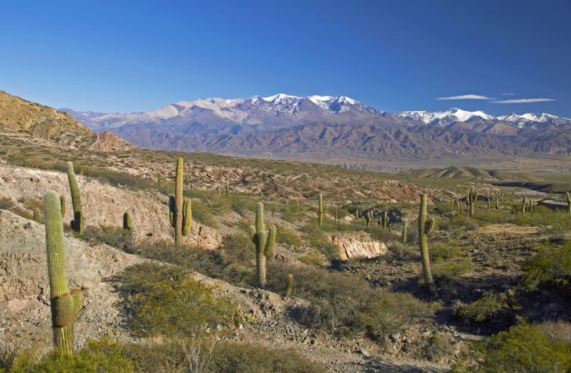 From Salta: Full-Day Scenic Tour to Cachi - The Sum Up