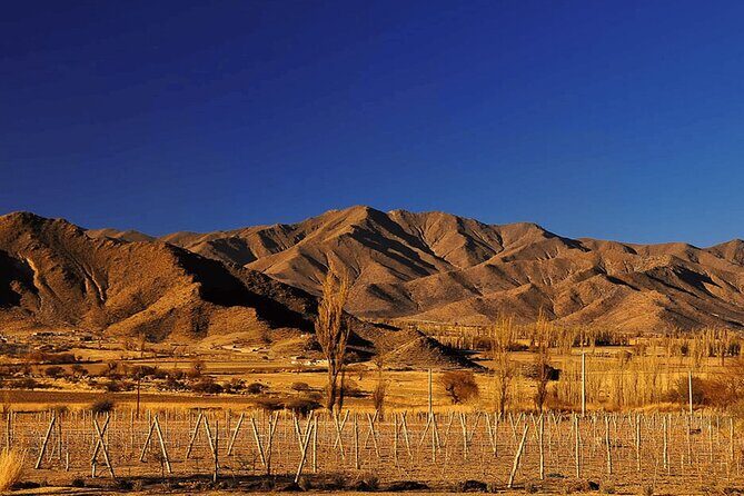 From Salta: Full-day tour to Cachi and Los Cardones National Park - An In-Depth Look at the Tour Experience