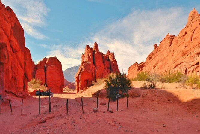 From Salta: Full-Day Tour to Cafayate, Land of Wines - Transportation and Group Size