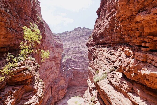 From Salta: Full-Day Tour to Cafayate, Land of Wines - The Sum Up