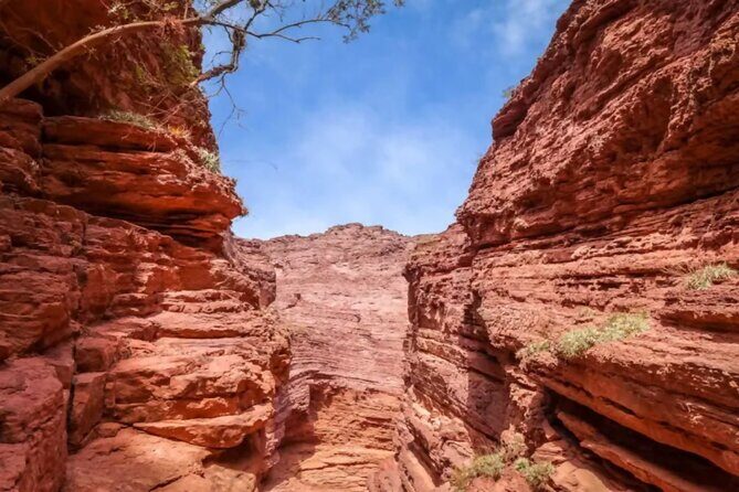 From Salta: Full-Day Tour to Cafayate, Land of Wines - FAQ