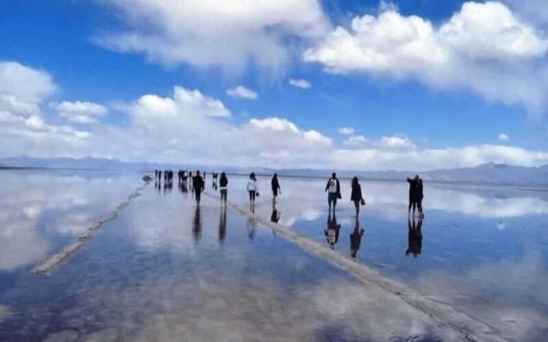 From Salta: Full-Day Tours of Cachi and Salinas Grandes - What the Reviews Say