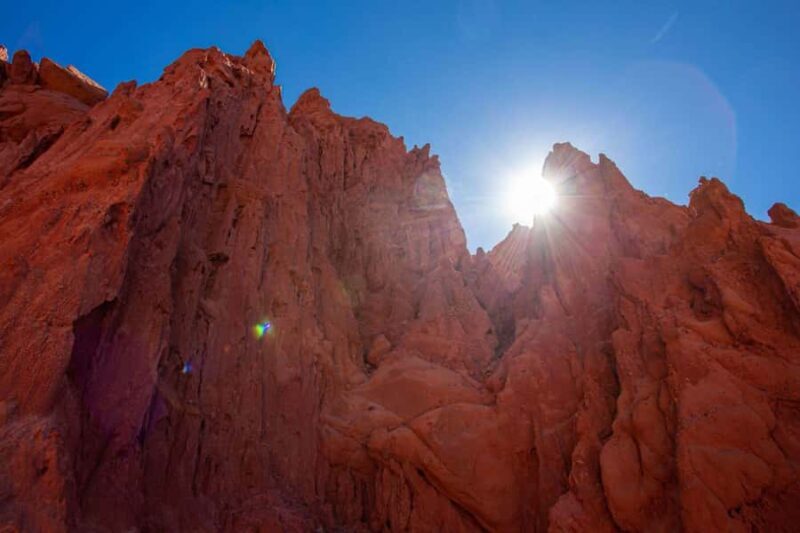 From Salta: Full-Day Wine and Valley Tour to Cafayate - Key Points