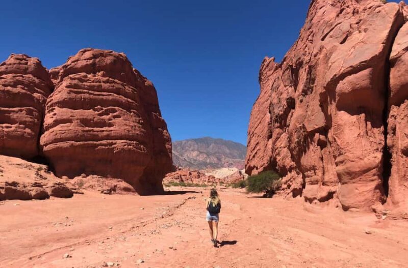 From Salta: Full-Day Wine and Valley Tour to Cafayate - Who Will Love This Tour?